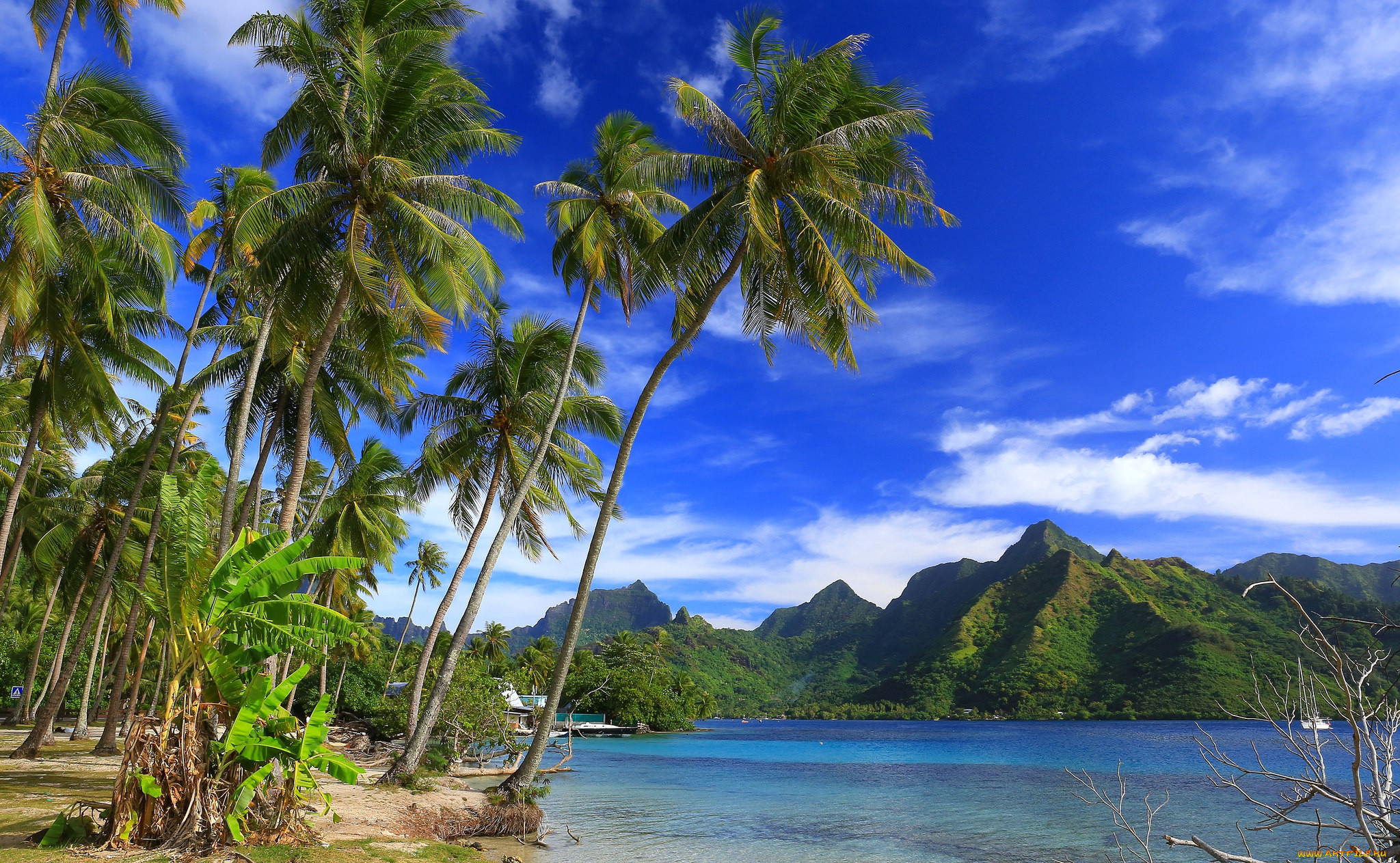 moorea, , , 